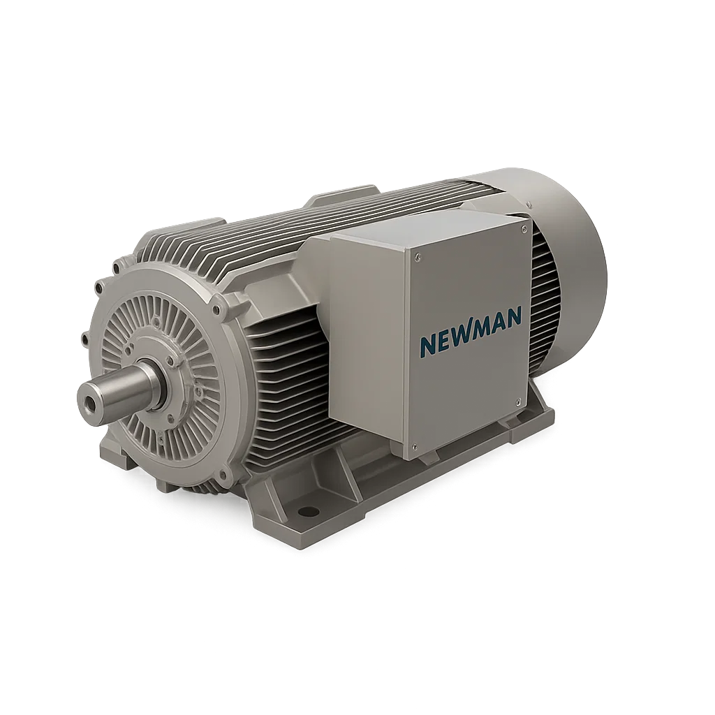 Motor Eléctrico Newman