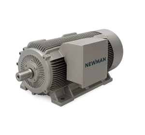 Motor Eléctrico Newman Motor Eléctrico Newman